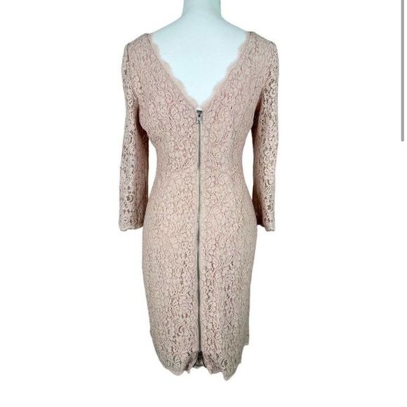 Adrianna Papell Evening Lace Dress with Exposed Back Zipper Pale Pink Size 6 - Picture 3 of 11